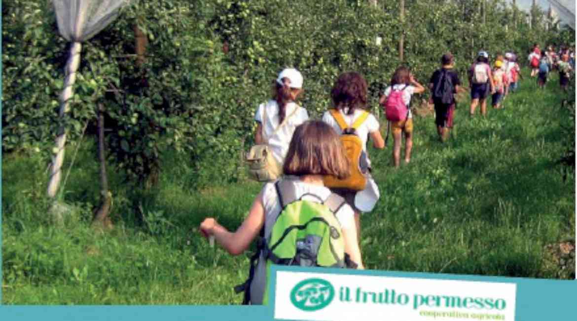 Vacanze In Cascina Per I Piccoli Soci Di Banca Di Cherasco